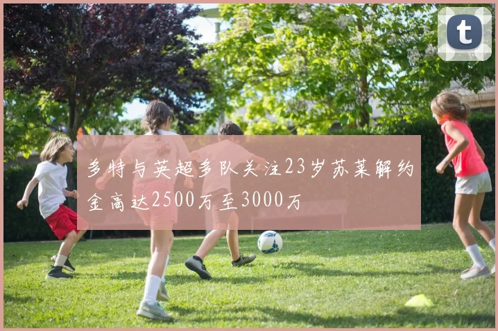 多特与英超多队关注23岁苏莱解约金高达2500万至3000万