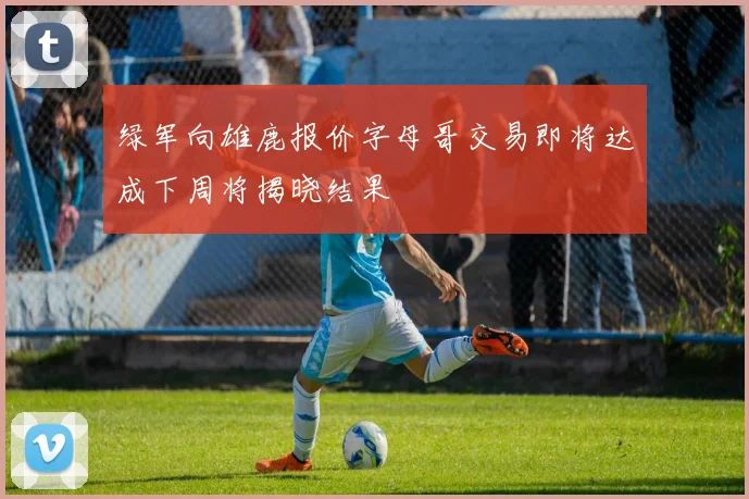 绿军向雄鹿报价字母哥交易即将达成下周将揭晓结果